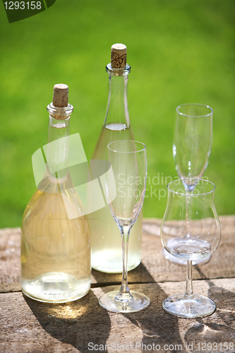 Image of dandelion wine