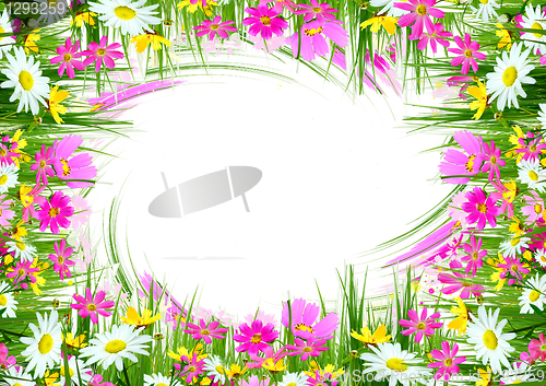 Image of flowers and grass