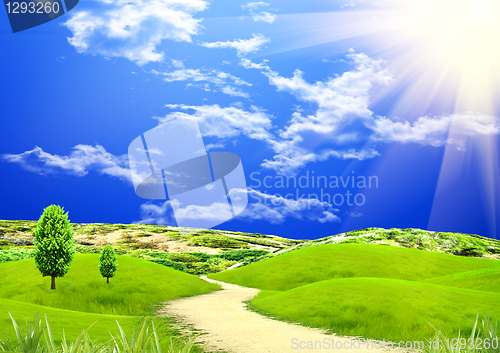 Image of green glade