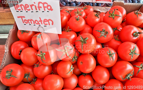 Image of tomatoes 