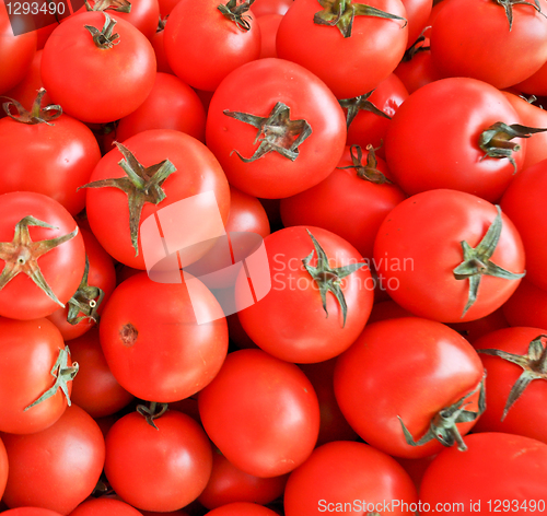 Image of tomatoes 