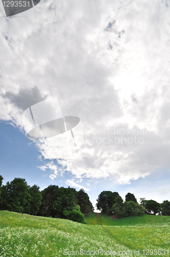 Image of landscape 