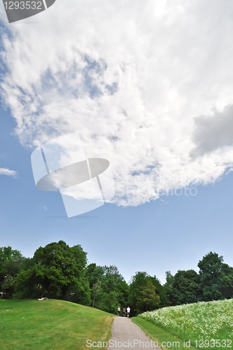 Image of landscape 