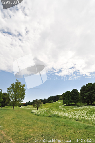 Image of landscape 