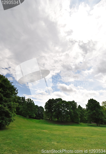 Image of landscape 