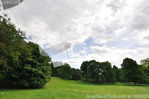 Image of landscape 
