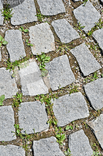 Image of pavement stone tile