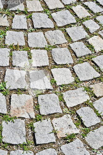 Image of pavement stone tile