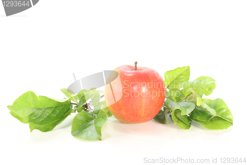 Image of Apple with leaves