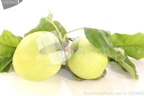 Image of Apples with leaves