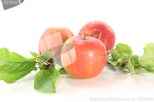 Image of Apples with leaves