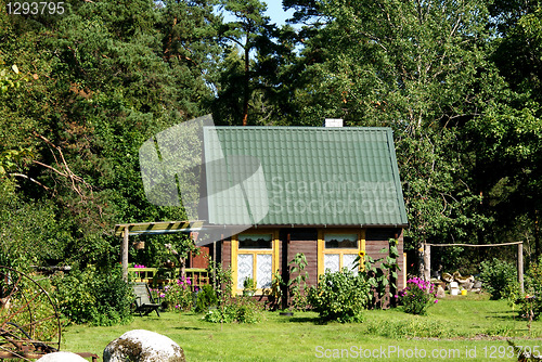 Image of The wooden house