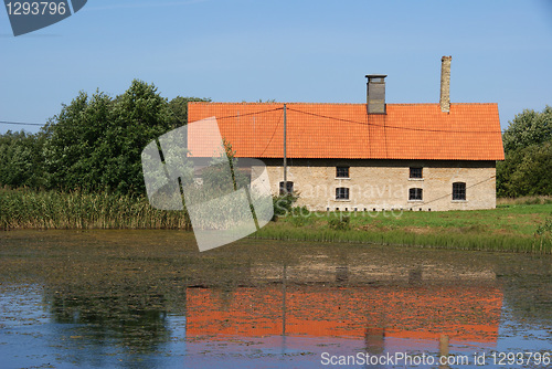 Image of The house