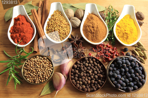 Image of Spices and herbs