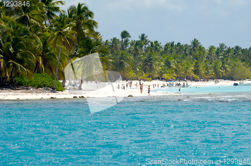 Image of Island with beautiful beach