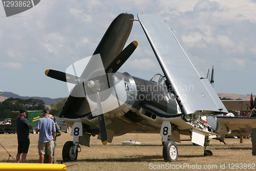 Image of folded wings