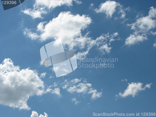 Image of big sky, small bird