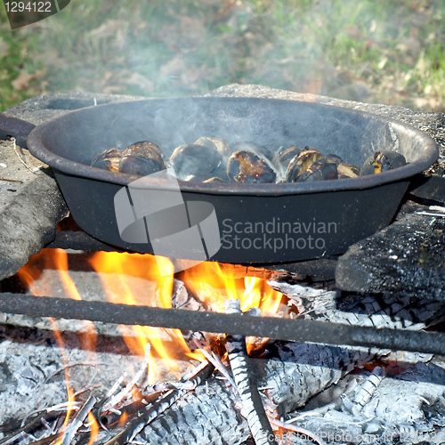 Image of Barbecue