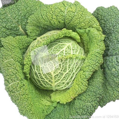 Image of Cabbage