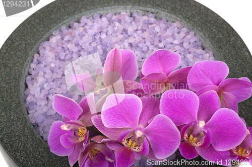 Image of Salt and Orchid