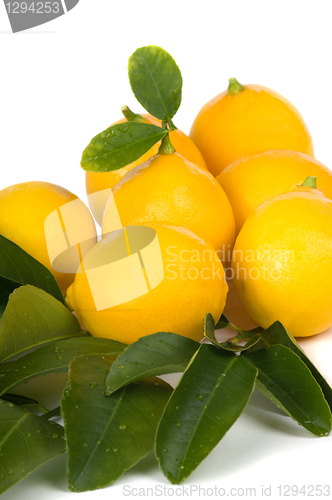 Image of Organic Lemons