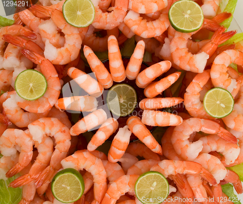 Image of Shrimp