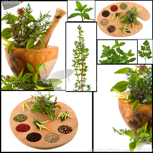 Image of Herb Collage