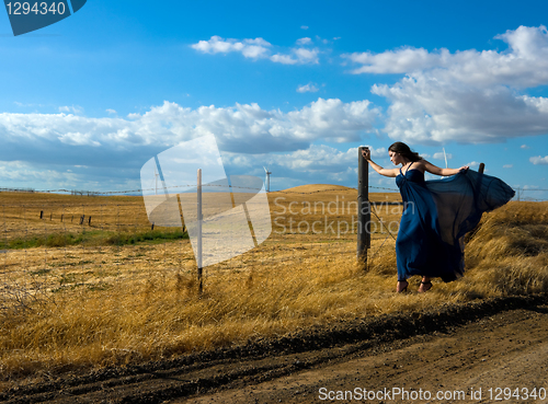 Image of Windy Day