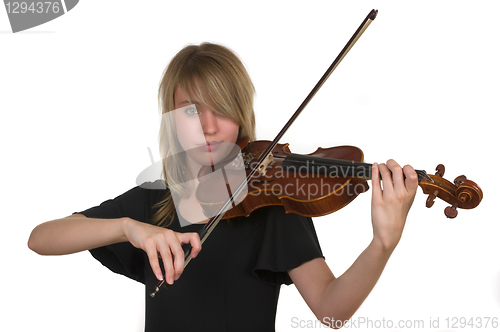 Image of Violin