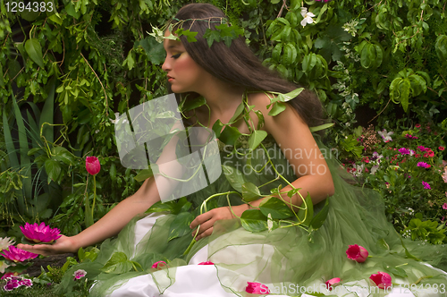 Image of Enchanted Garden