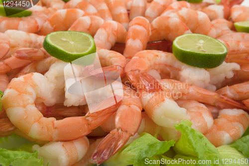 Image of Shrimp