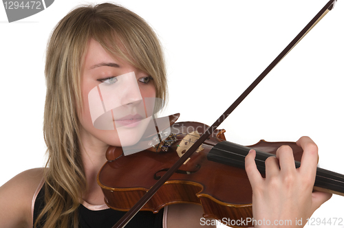 Image of Violin