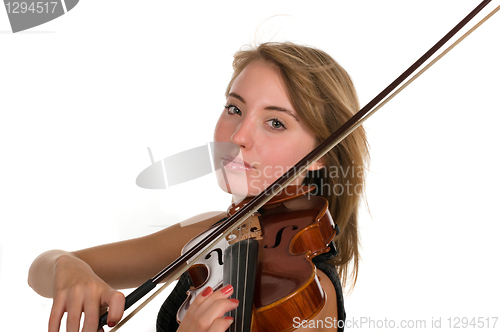 Image of Violin