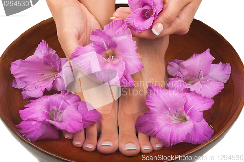 Image of Pedicure and Manicure Spa