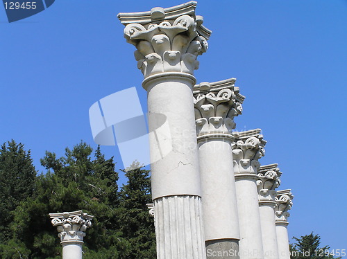 Image of Columns of Apollo's temple