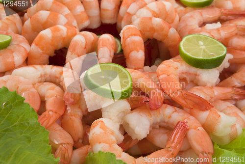 Image of Shrimp