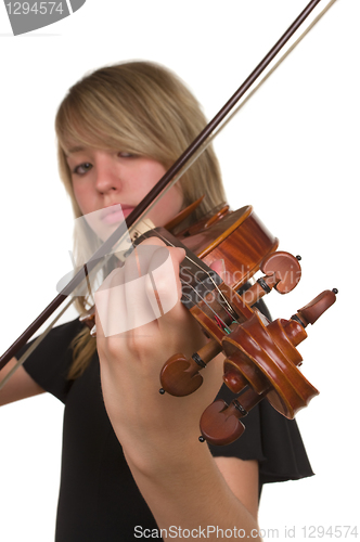 Image of Violin