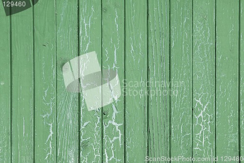 Image of Green background