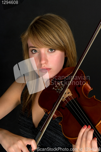 Image of Violin