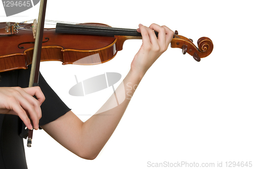 Image of Violin