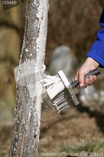 Image of Gardening