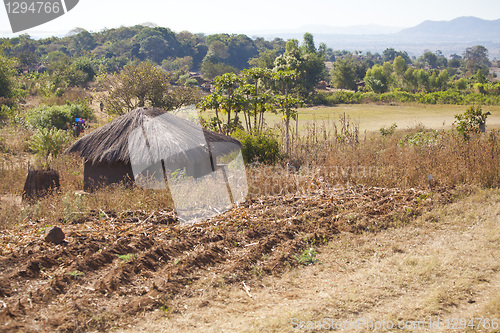 Image of African Village