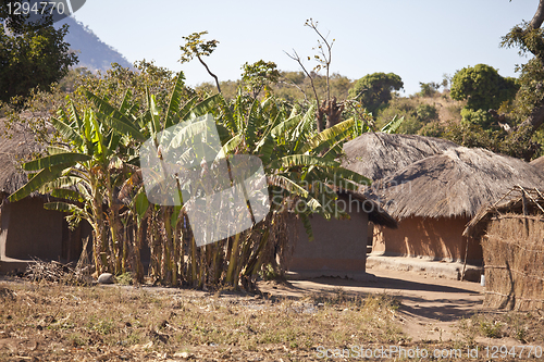 Image of African Village