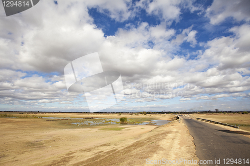 Image of African landscape