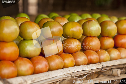 Image of African tomatoes