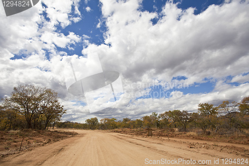 Image of Africa road