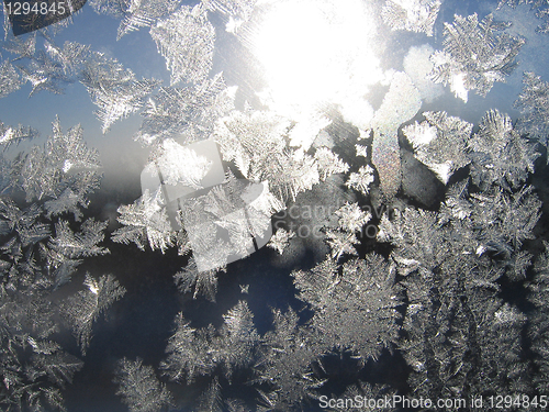 Image of frost and sun