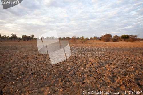 Image of African sunset