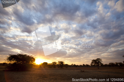 Image of African sunset