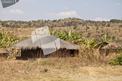 Image of African Village